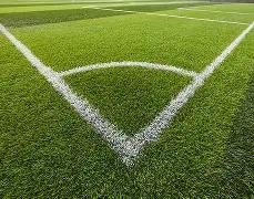 禅城体校篮,球公益培训,岁全龄段免,乐鱼体育官网,乐鱼体育直播,体育赛事直播,足球直播