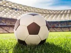 朱婷郎平共,赴河南排球,联赛,乐鱼体育官网,乐鱼体育直播,体育赛事直播,足球直播