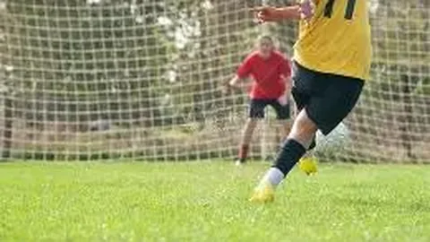 乐鱼体育 资讯 111432 y10