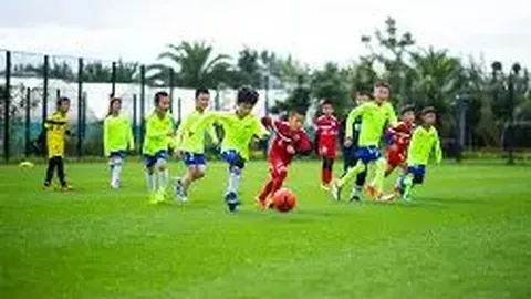 乐鱼体育 产品 134238 8pr